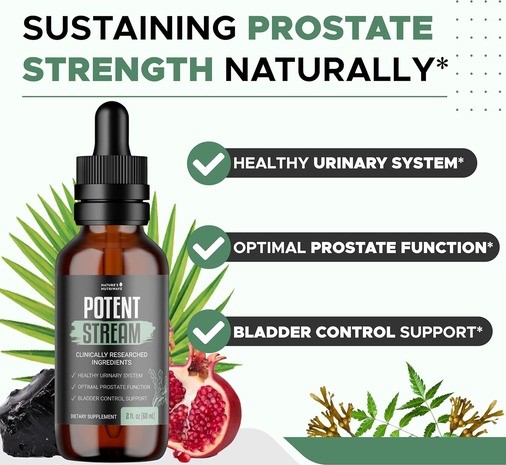 protentstream protentstream